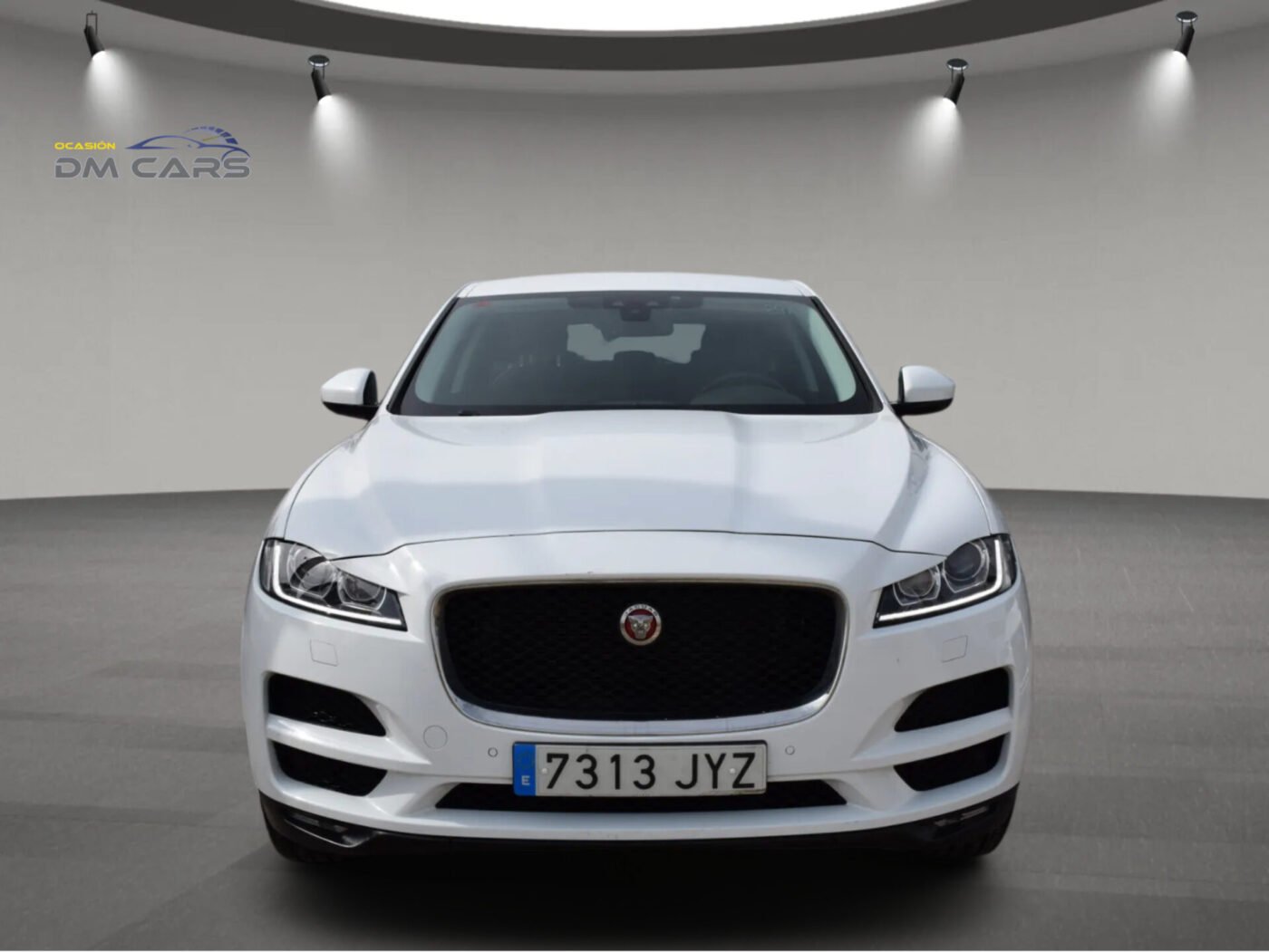 JAGUAR 2.0L AWD 180