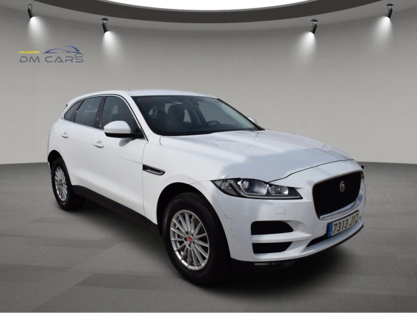 JAGUAR 2.0L AWD 180