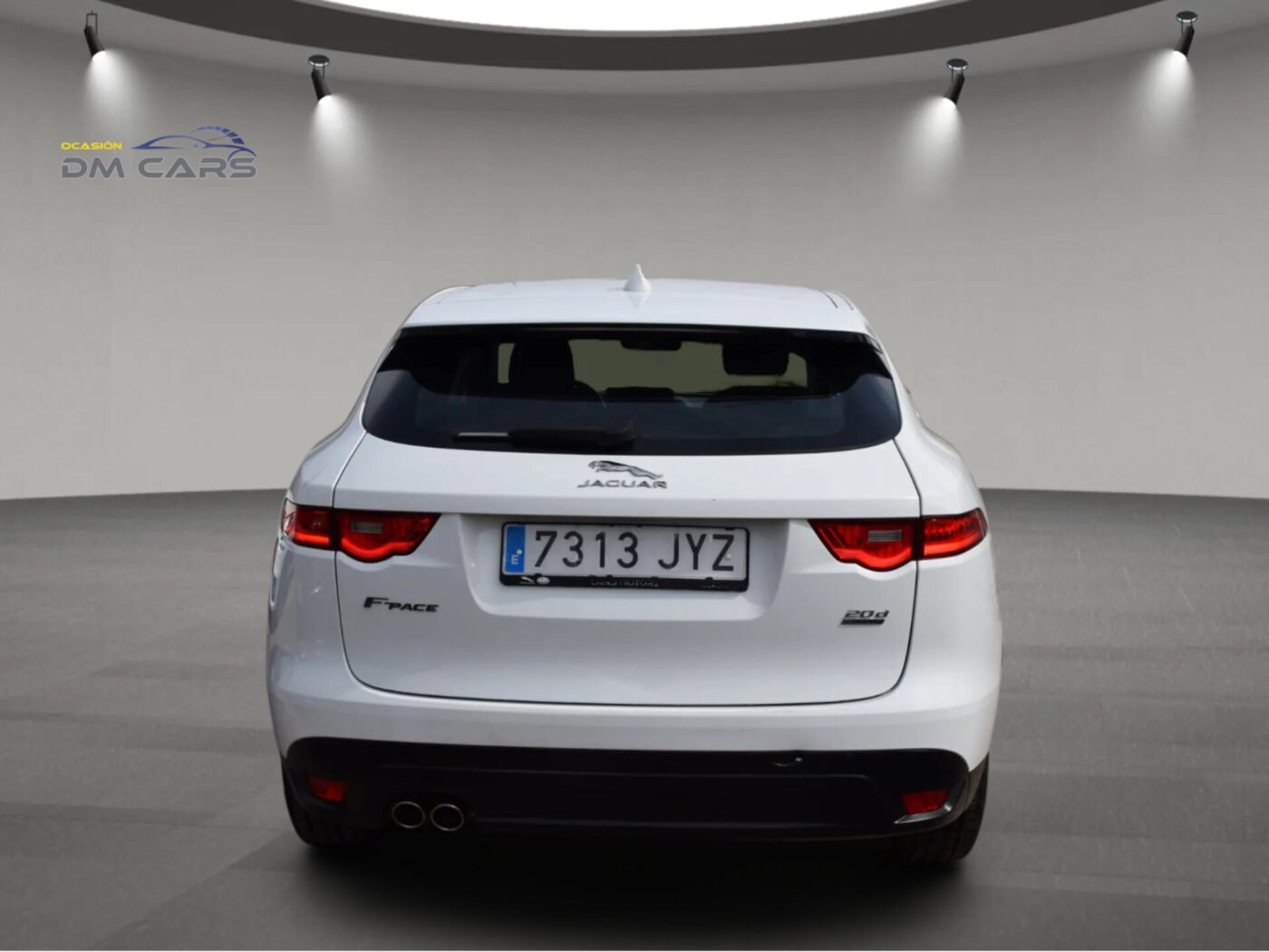 JAGUAR 2.0L AWD 180