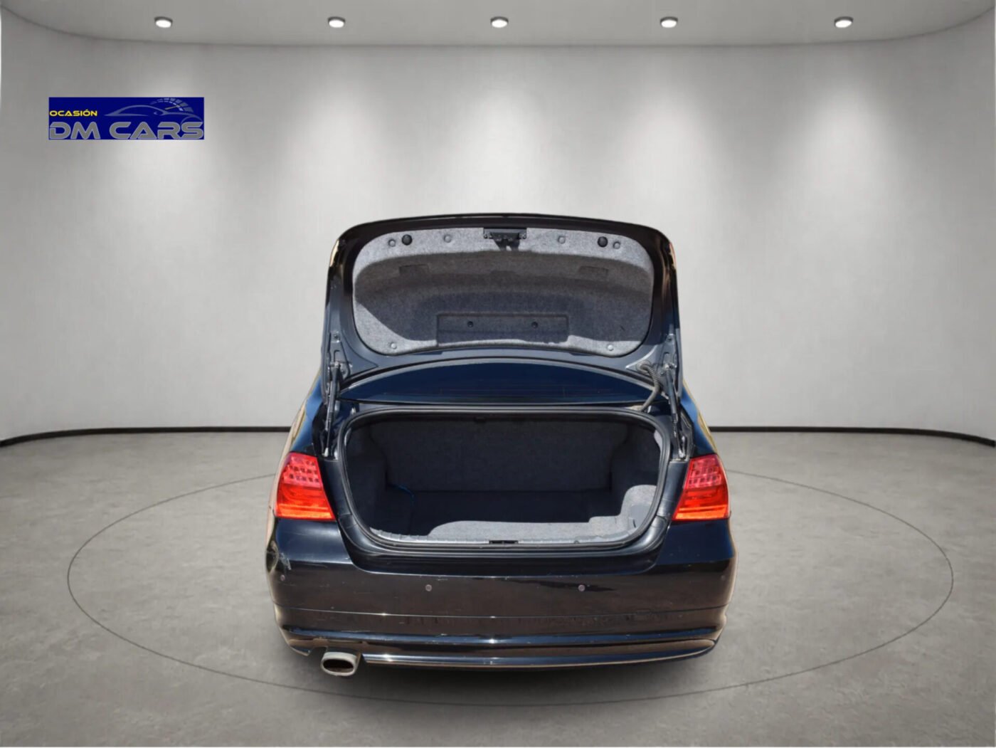 BMW Serie 3 318i